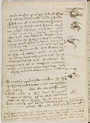 Birds Flight Code, Sheet 8 Verso